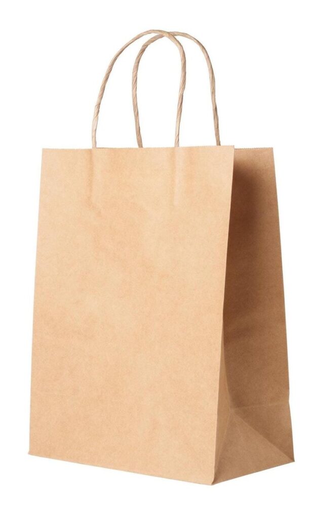10x5x13 Unprinted Kraft Paper Handle Bag